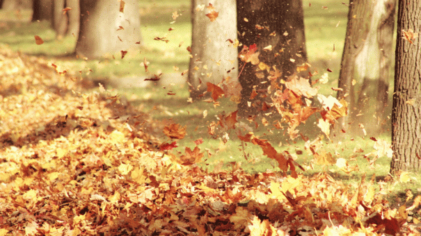 meteo-roma-vento-sole-1024x575